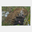 Suche nach jaguar geschirr tücher Punkte
