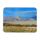 Suche nach chile magnete South america