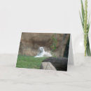 Suche nach sibirische katzen karten Tier