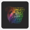 Suche nach pitbulls aufkleber Pillbulle