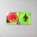 Suche nach tulpen leinwandbilder Pflanze