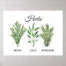 Suche nach rosmarin poster Thymian