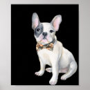 Suche nach bogen krawatte poster Hund