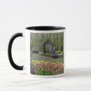 Recherche de jacinthes tasses Nature