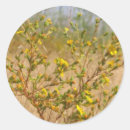 Suche nach busch aufkleber Fotografie