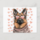 Recherche de malinois cartes postales Dog