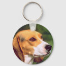 Recherche de chiot de beagle porteclés Canine