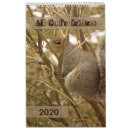 Suche nach eichhörnchen kalender Lebewesen