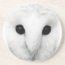 Suche nach eulen untersetzer Vogel