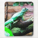 Suche nach grüne eidechsen mousepads Reptilien