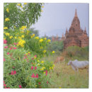 Suche nach heide fliesen Tempel