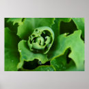 Suche nach tautropfen poster Abstrakt