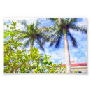 Recherche de arbre tropical posters Agrumes
