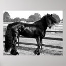 Recherche de cheval et cavalier posters Équestre