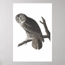 Suche nach uhu poster Wildtiere