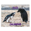 Suche nach die antarktis kalender Schnee