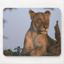 Suche nach loewe mousepads Kenia