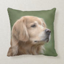 Suche nach nahaufnahme kissen Hund