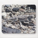Suche nach kröten mousepads Gehörnt