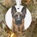 Recherche de chiot berger allemand ornements Mignon