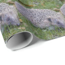 Suche nach säugetier geschenkpapier Igel