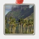 Suche nach bora bora ornamente Palme