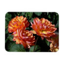 Recherche de dahlia rouge magnets Pour tous