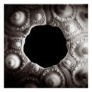 Suche nach 20x20 poster Ozean