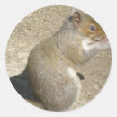 Recherche de affam autocollants Animaux