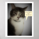 Suche nach cat funny poster Lustige katzen
