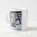 Recherche de renard rouge tasses Faune