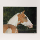 Suche nach paint horse puzzle Bob sprache