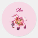 Recherche de asiatiques Rose