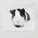 Recherche de louche posters Animaux