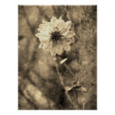 Suche nach altes foto poster Vintage