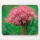 Suche nach agapanthus mousepads Blume