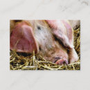 Suche nach schweine visitenkarten Bauernhof