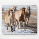 Suche nach pinto pferd mousepads Ranch