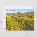 Suche nach wildblumen postkarten California