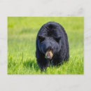 Suche nach nordamerika postkarten Alaska