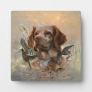 Recherche de bretagne plaques Chasse de la brittany