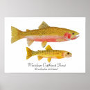 Recherche de pêche mouche posters Saumon