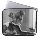 Suche nach yorkie laptop schutzhüllen Welpe