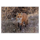 Recherche de mammifères planches à découper Animal