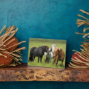 Suche nach wiese fotoplatten Ranch