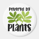 Recherche de sain magnets Jardin