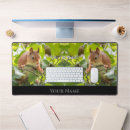 Suche nach positives zitat mousepads Motivierend angebot
