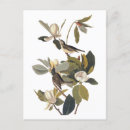 Recherche de chauffer cartes postales Pour tous