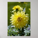 Suche nach gerahmter druck poster Pflanze
