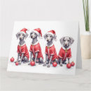 Suche nach weimaraner karten Welpe